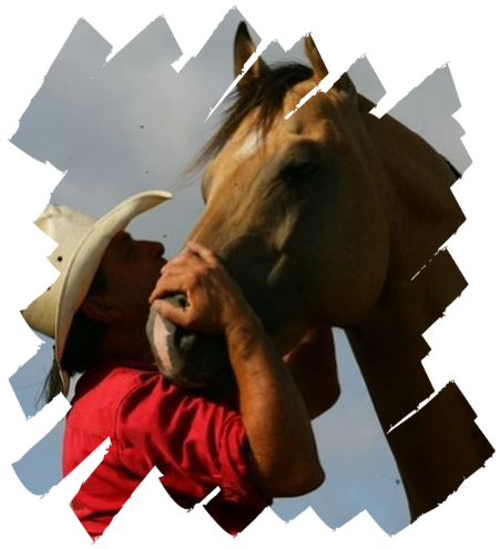 equitation western