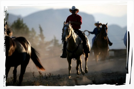 ecole d equitation western ranch de las caneilles